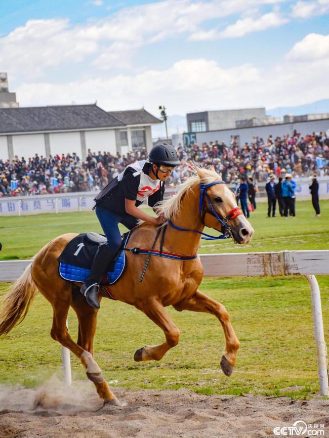 雲(yun)南大理:三(san)月街民族(zú)節賽馬大(da)會開幕