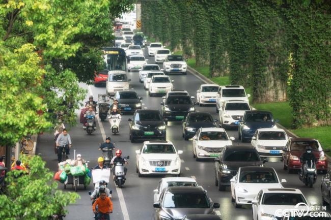 2025年12月(yue)7日，成都，高(gāo)架橋下爬(pá)滿碧綠的(de)爬山虎。視(shi)覺中國