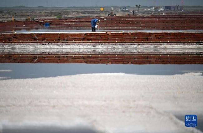 天津(jin):千年鹽場迎豐(feng)收