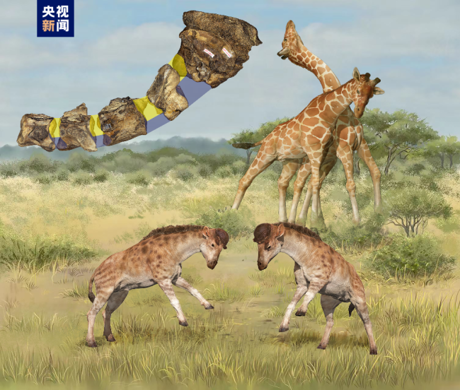 2022年度中國古(gu)生物學十大進展(zhan)發布