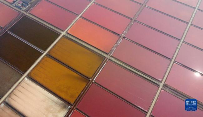 天津:千年鹽場(chang)迎豐收